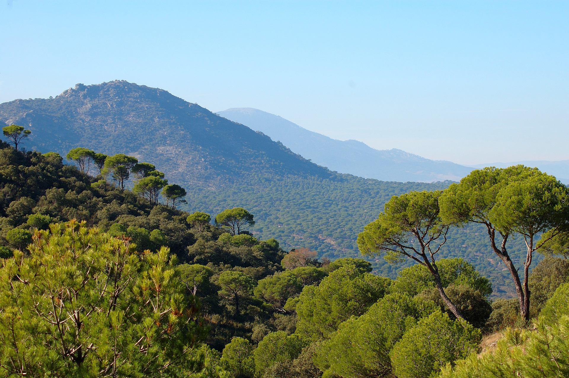 La Piara - FSC